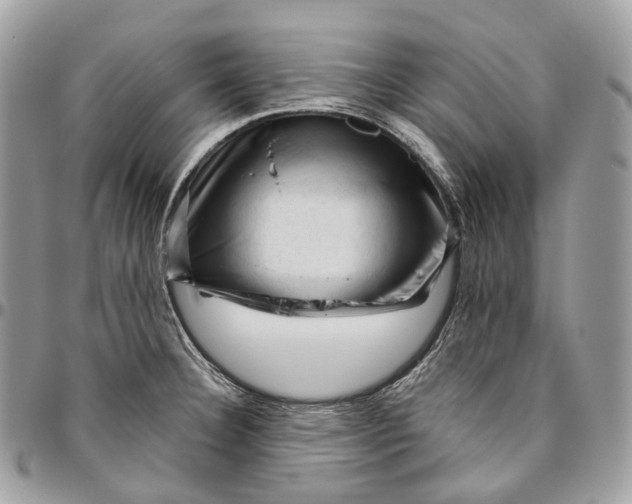 X0000096411332200802141532