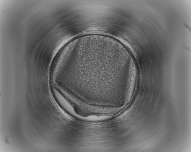 X0000096411333200802141532