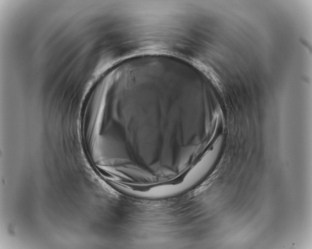 X0000096411334200802141532