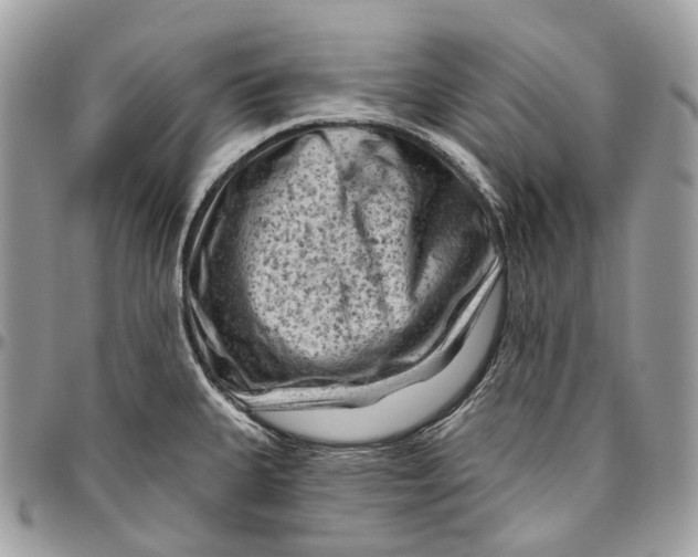 X0000096411335200802141532