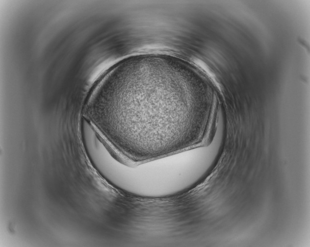 X0000096411336200802141532