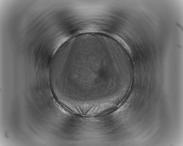 X0000096411337200802141532