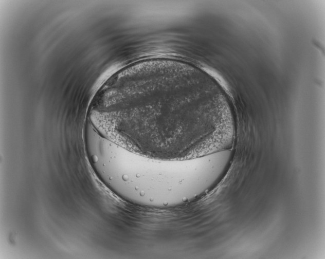 X0000096411338200802141532