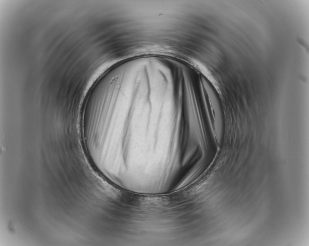 X0000096411339200802141532