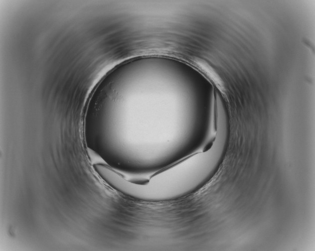 X0000096411340200802141532