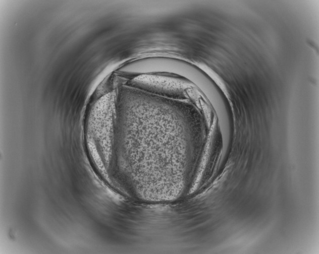 X0000096411341200802141532