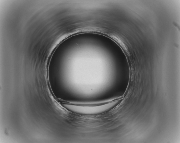 X0000096411342200802141532