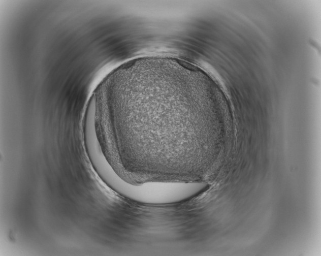 X0000096411344200802141532