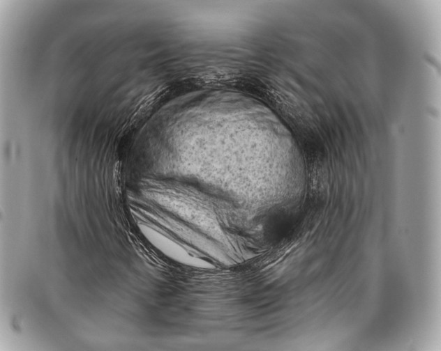 X0000096411346200802141532