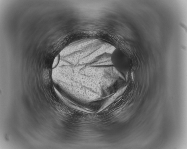 X0000096411347200802141532