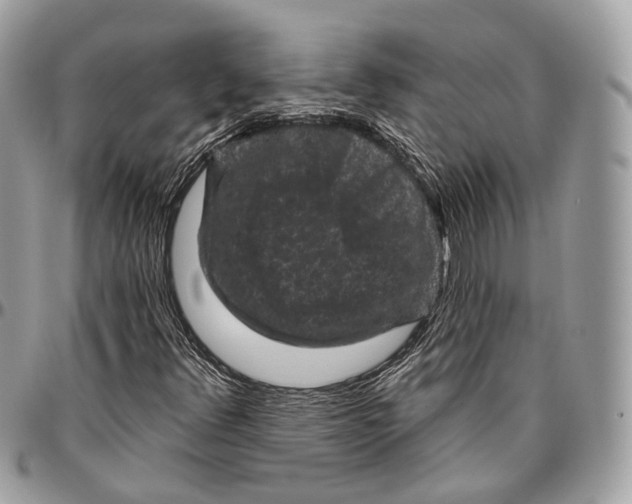 X0000096411348200802141532