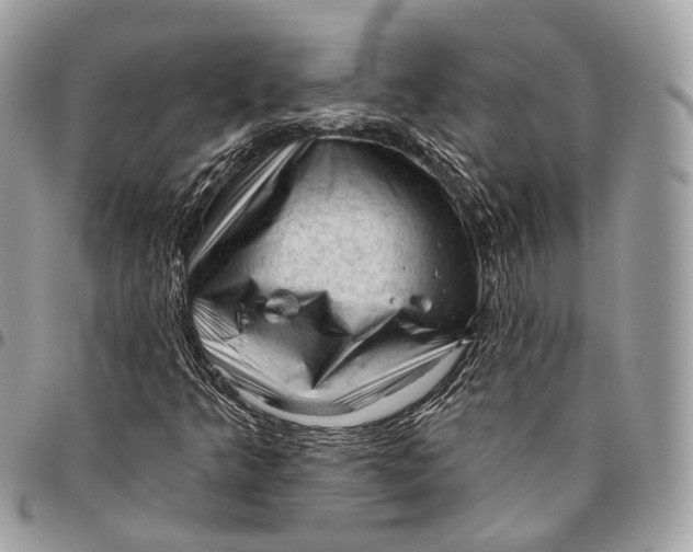 X0000096411349200802141531