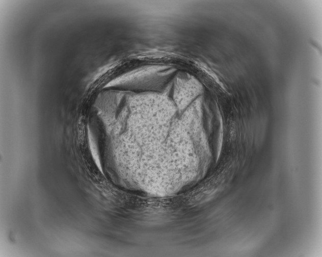 X0000096411350200802141531