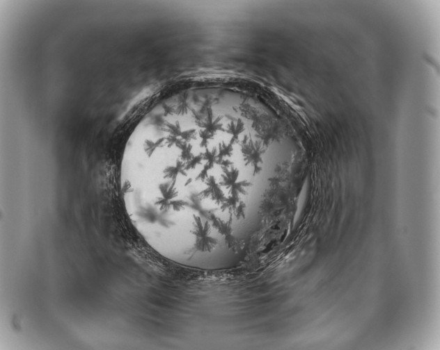 X0000096411351200802141531