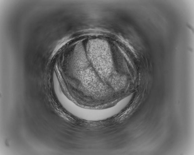 X0000096411352200802141531