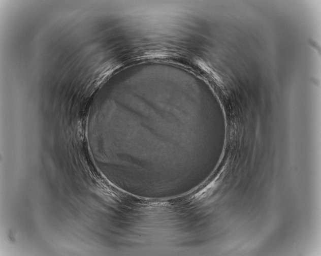 X0000096411353200802141531