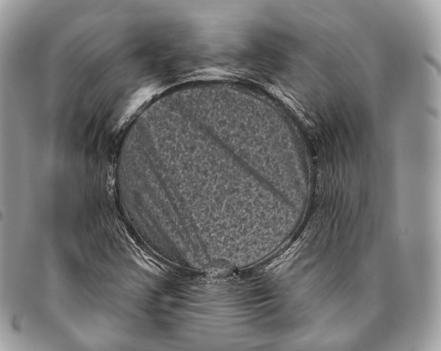 X0000096411355200802141531