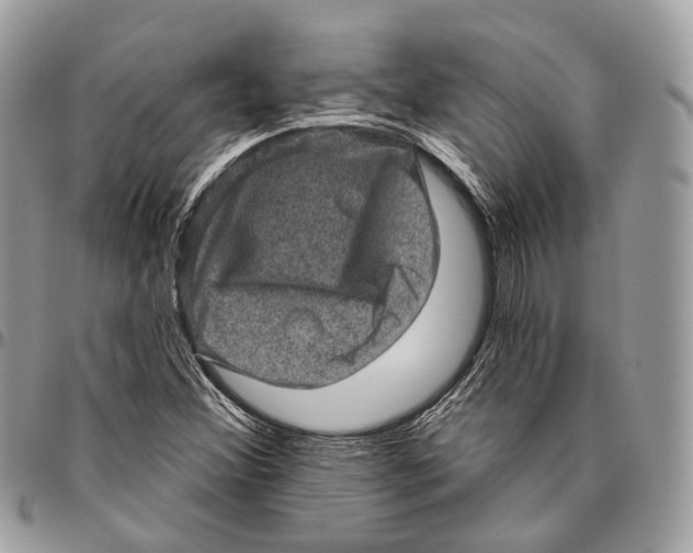 X0000096411356200802141531