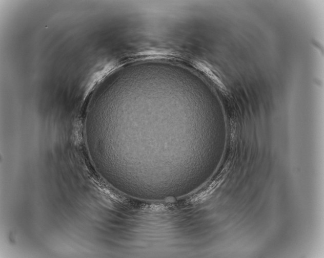 X0000096411357200802141531