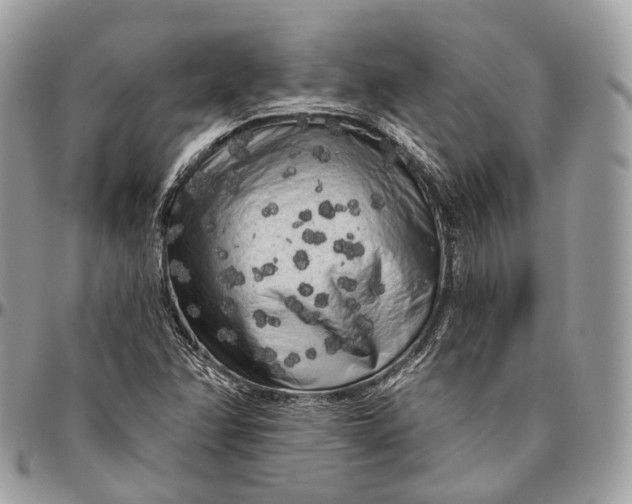 X0000096411358200802141531