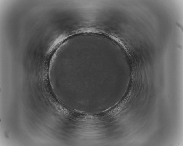 X0000096411359200802141531