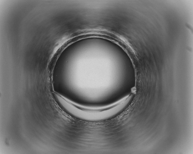 X0000096411360200802141531