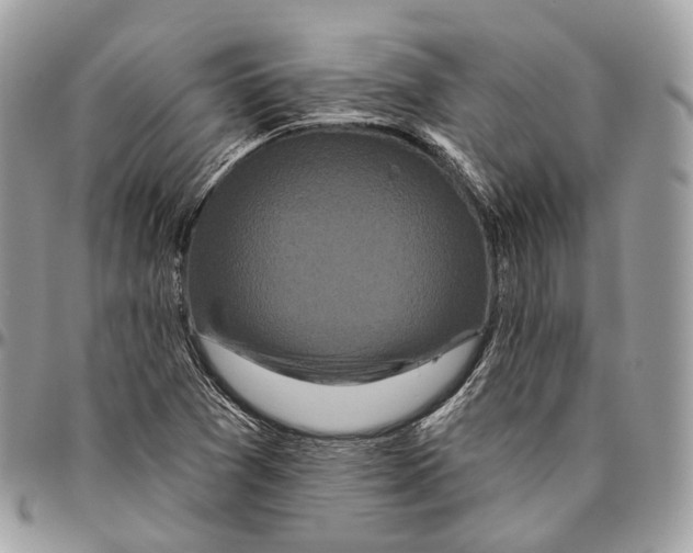 X0000096411361200802141531