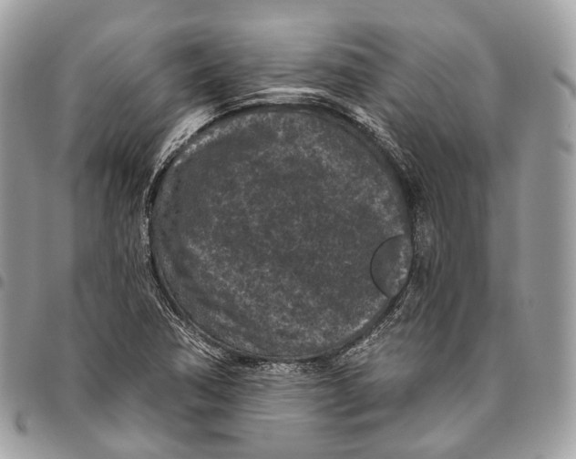 X0000096411362200802141531