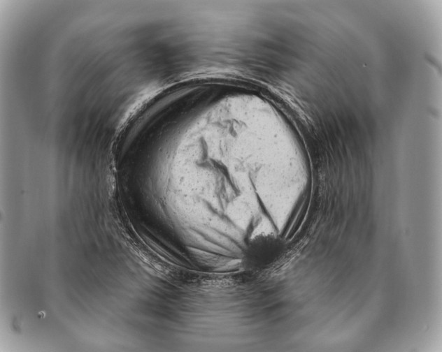 X0000096411363200802141531