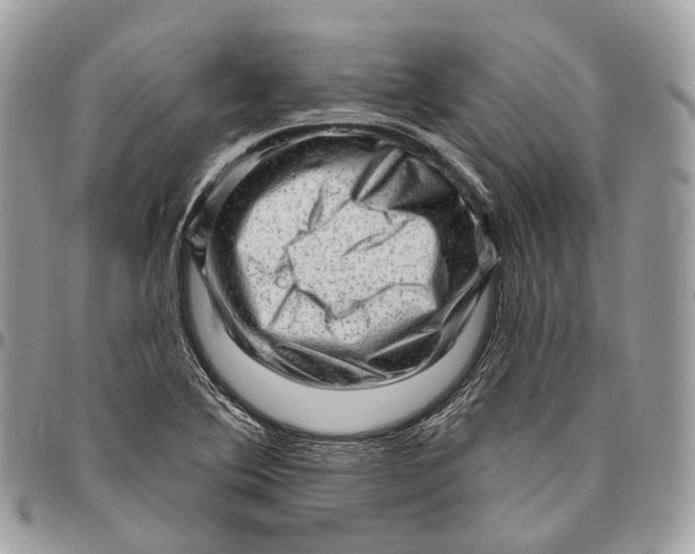 X0000096411364200802141531