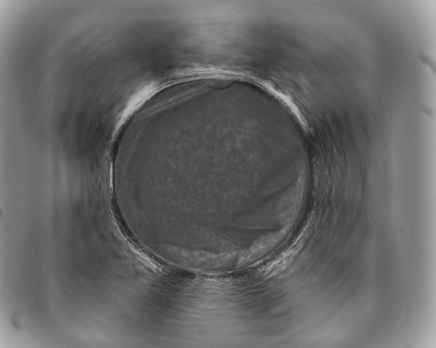 X0000096411365200802141531