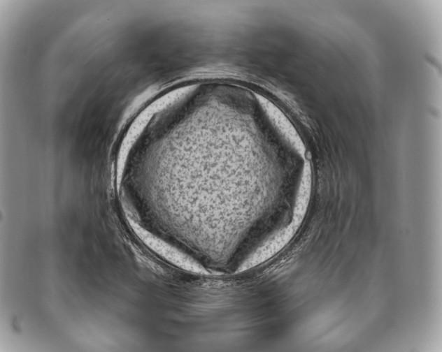 X0000096411366200802141531