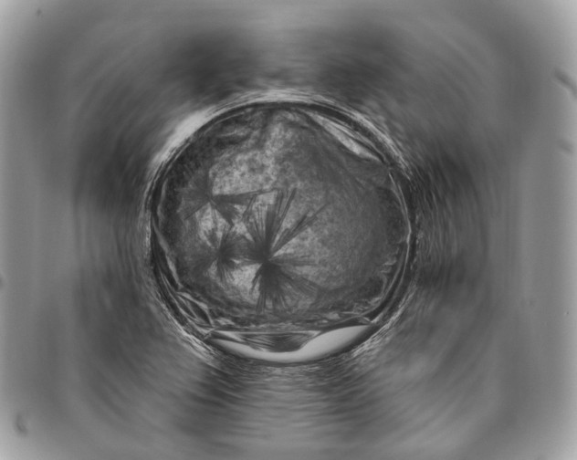 X0000096411367200802141531