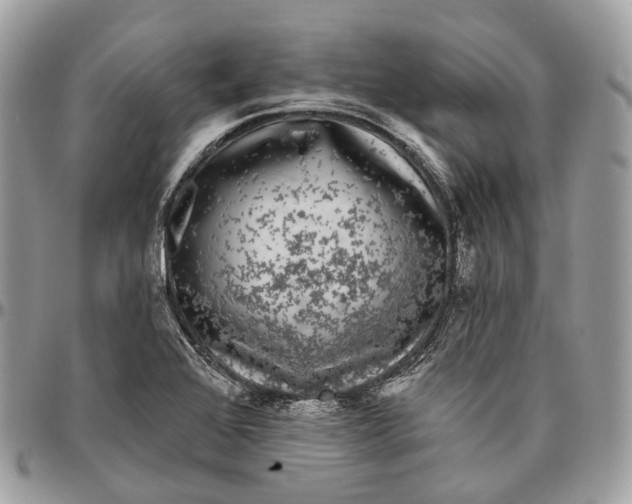 X0000096411368200802141531