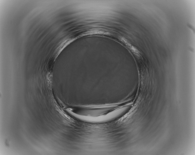 X0000096411369200802141531