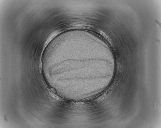 X0000096411370200802141531