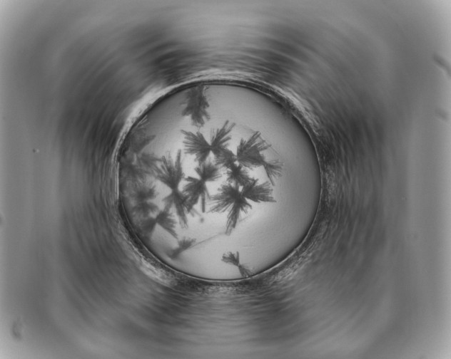 X0000096411371200802141531