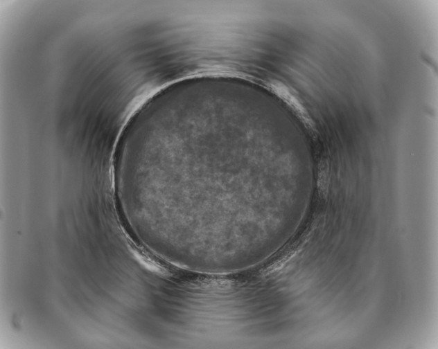 X0000096411372200802141531