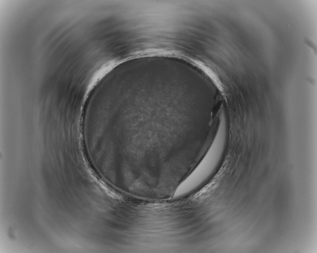 X0000096411373200802141531