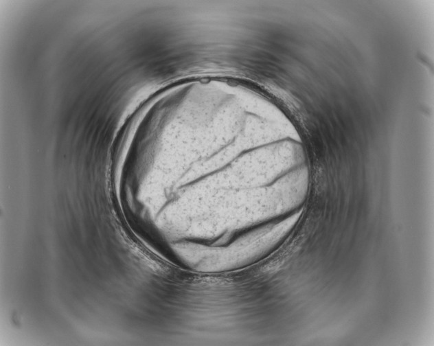 X0000096411374200802141531