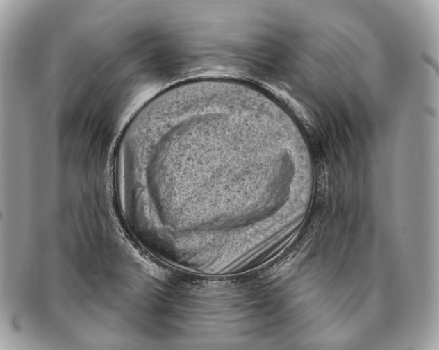 X0000096411375200802141531