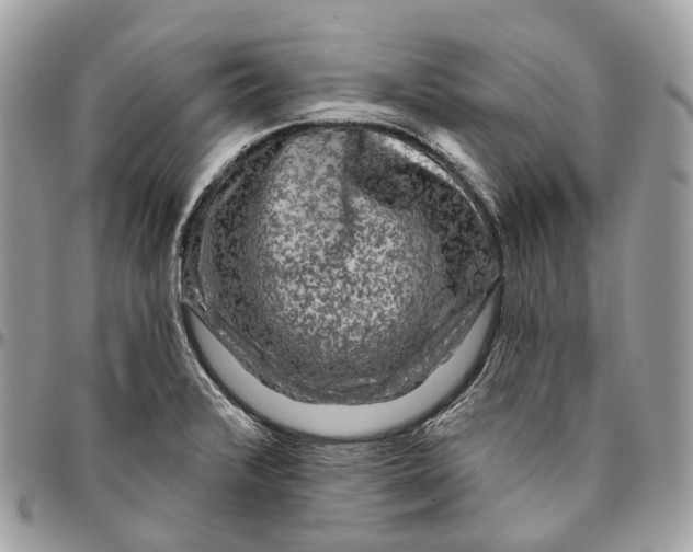 X0000096411376200802141531