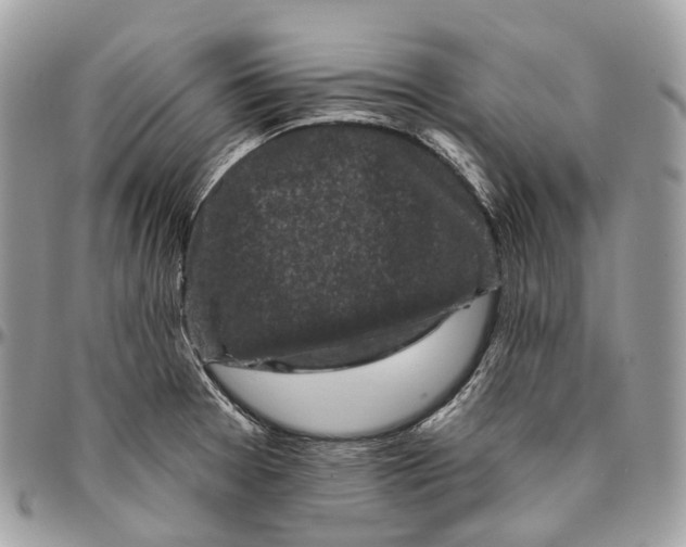 X0000096411377200802141531