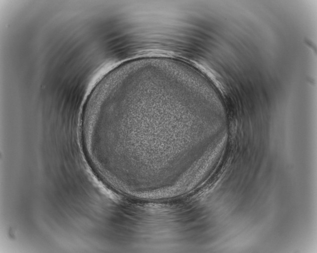 X0000096411379200802141531