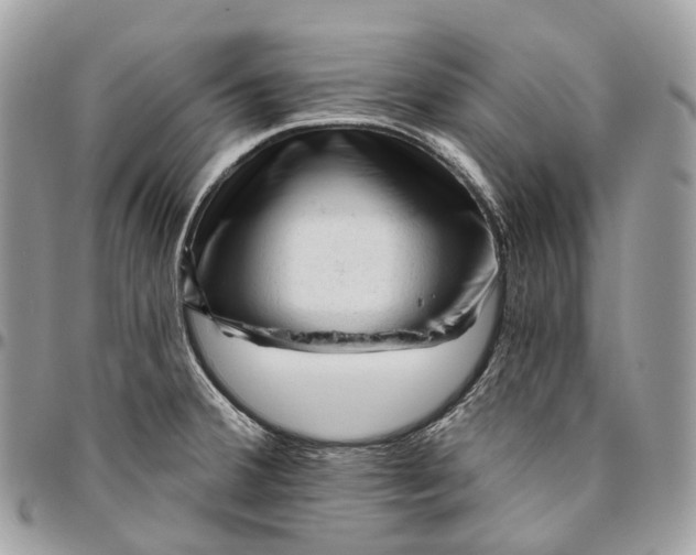 X0000096411380200802141531