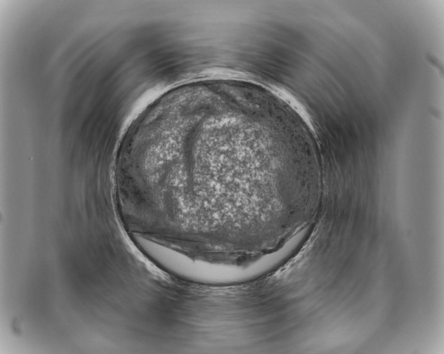 X0000096411381200802141531