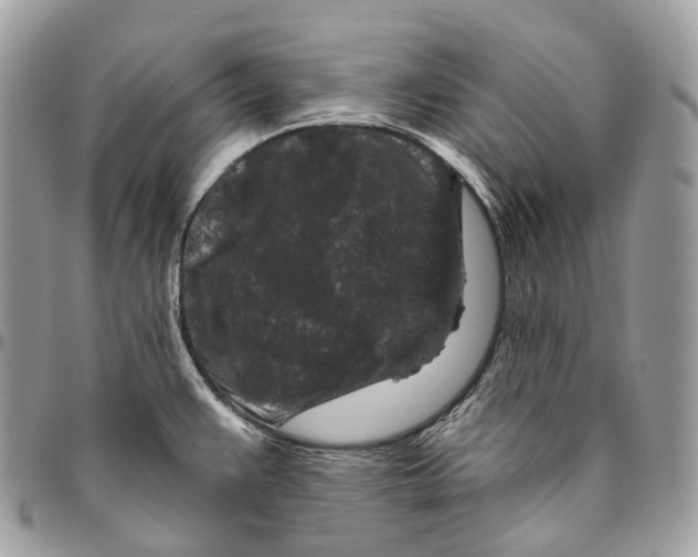 X0000096411383200802141531