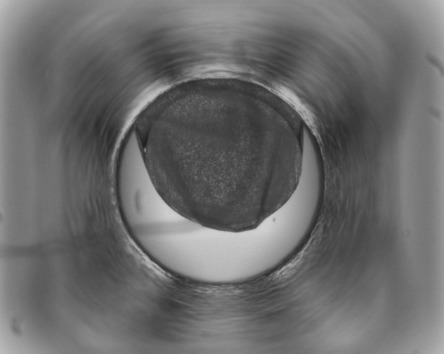 X0000096411384200802141531