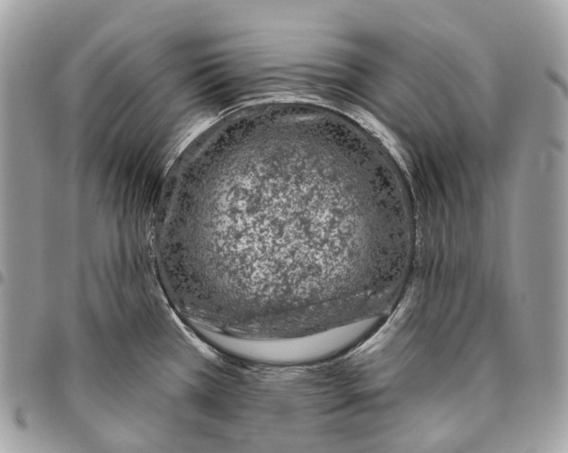 X0000096411385200802141531