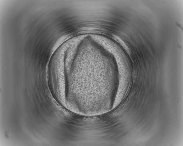 X0000096411386200802141531